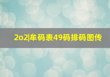 2o2|牟码表49码排码图传